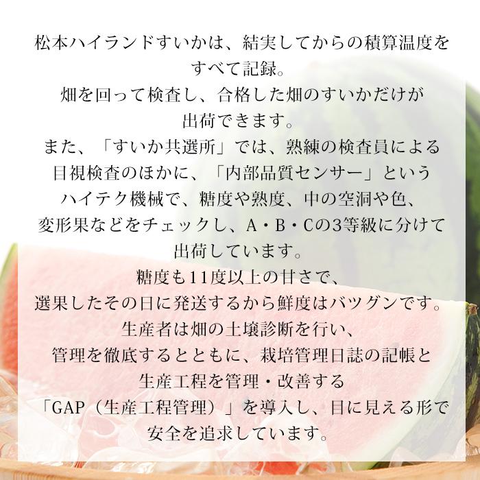 すいか 松本ハイランドすいか 長野県産 A等級 3Lサイズ以上 2玉 爆買 |  | 06