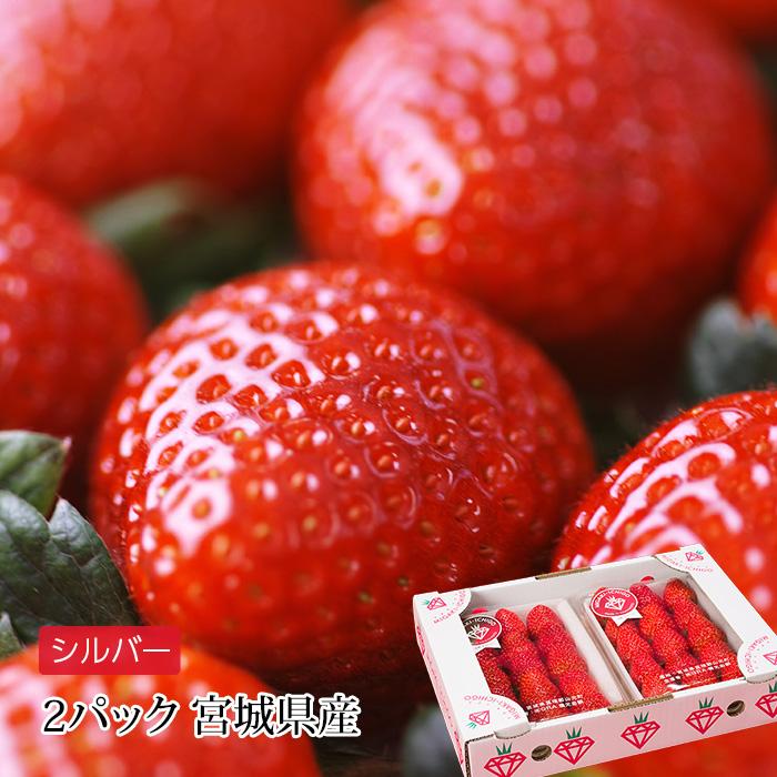 いちご ミガキイチゴ 宮城県産 シルバー 2パック 爆買 : 産直