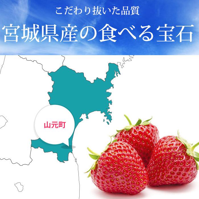 いちご ミガキイチゴ レギュラー 4パック 2パック 2箱 宮城県 F 0290 産直プレミアム 通販 Yahoo ショッピング