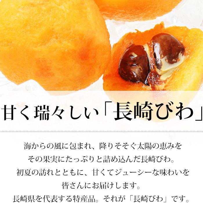 びわ 長崎県産 なつたより 長崎びわ 約1kg 12〜15粒 化粧箱 露地栽培