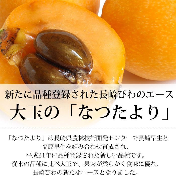 びわ 長崎県産 なつたより 長崎びわ 約1kg 12〜15粒 化粧箱 露地栽培
