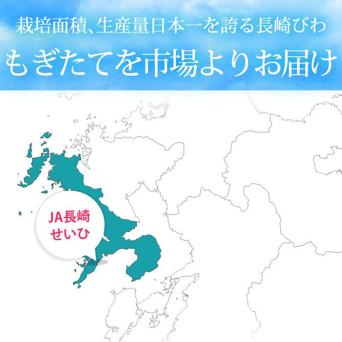 びわ 長崎県産 なつたより 長崎びわ 約1kg 12〜15粒 化粧箱 露地栽培