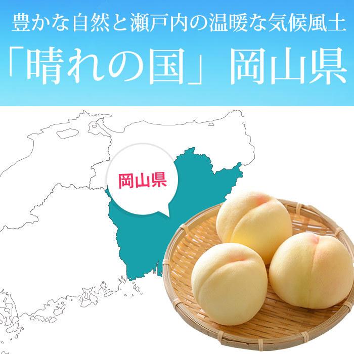 岡山県産白鳳 大玉 ロイヤル 11個入り 岡山県産 白鳳（白桃） ロイヤル