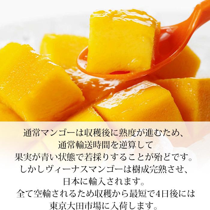 マンゴー ヴィーナスマンゴー 約7kg 日本製 10 14玉 メキシコ産