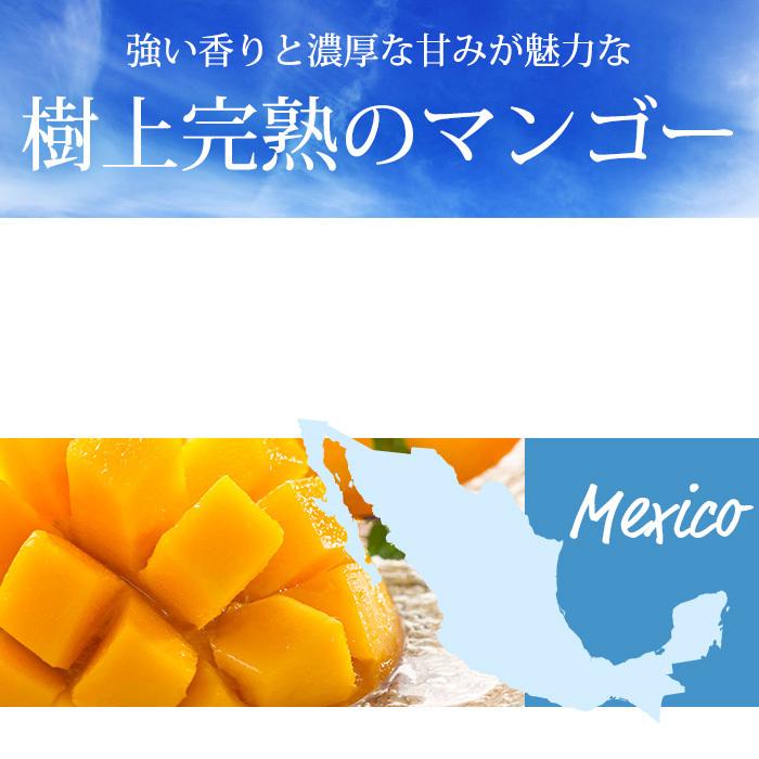 マンゴー ヴィーナスマンゴー 約7kg 日本製 10 14玉 メキシコ産