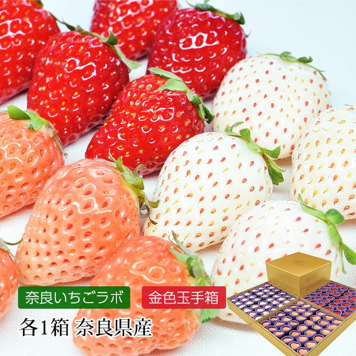いちご 三色いちご 奈良県産 金色玉手箱 3種類 各1箱 爆買 : 産直