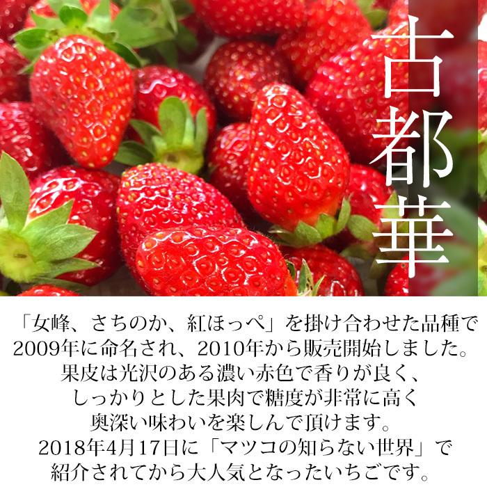 いちご 三色いちご 奈良県産 金色玉手箱 3種類 各1箱 爆買 : 産直