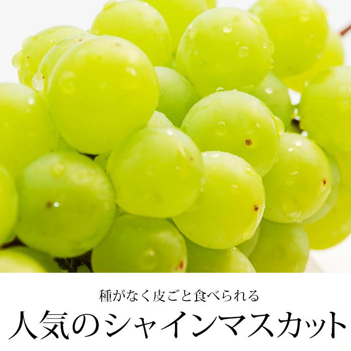 ぶどう シャインマスカット 長野県産 山梨県産 秀品 2パック_2