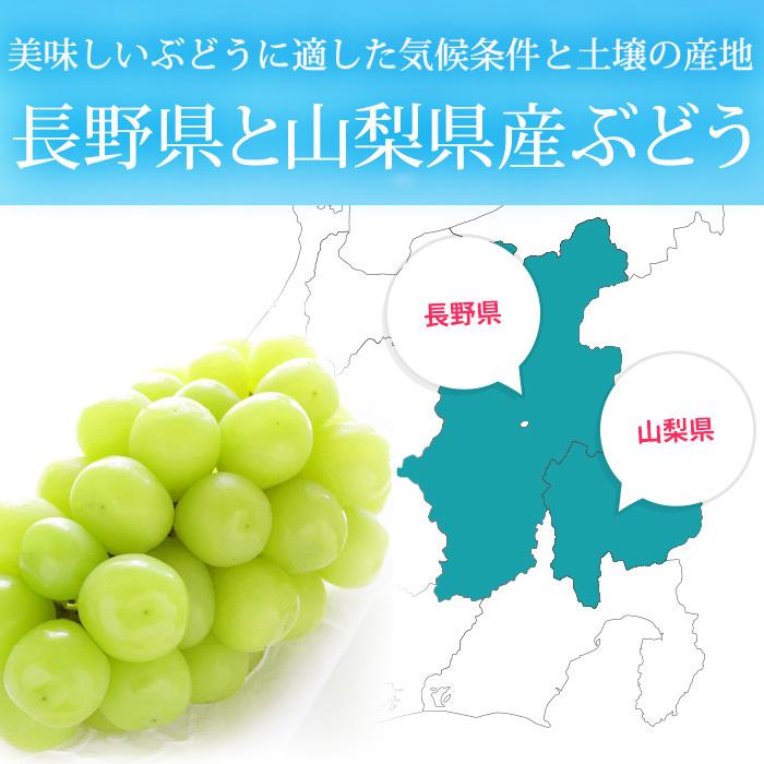ぶどう シャインマスカット 長野県産 山梨県産 秀品 2パック_4
