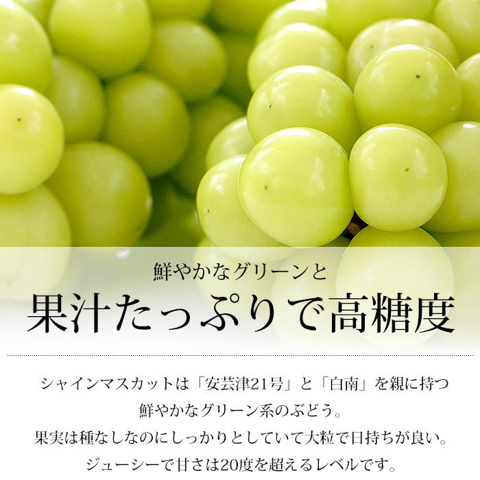 ぶどう シャインマスカット 長野県産 山梨県産 秀品 2パック_6