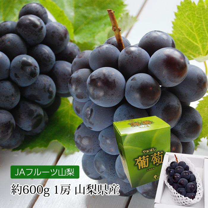 ぶどう 種なし 巨峰 約600g 1房 山梨県産 露地栽培 F 0437 産直プレミアム 通販 Yahoo ショッピング