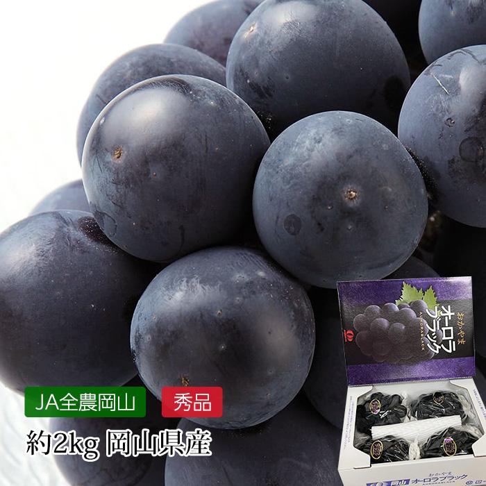 ぶどう オーロラブラック 岡山県産 種なし 秀品 約2kg 4〜5房 爆買