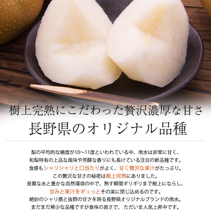 梨 南水 長野県産 秀品 約5kg 10〜16玉