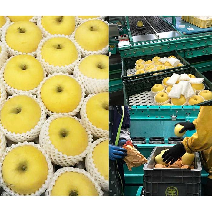 りんご しんおう on X: 