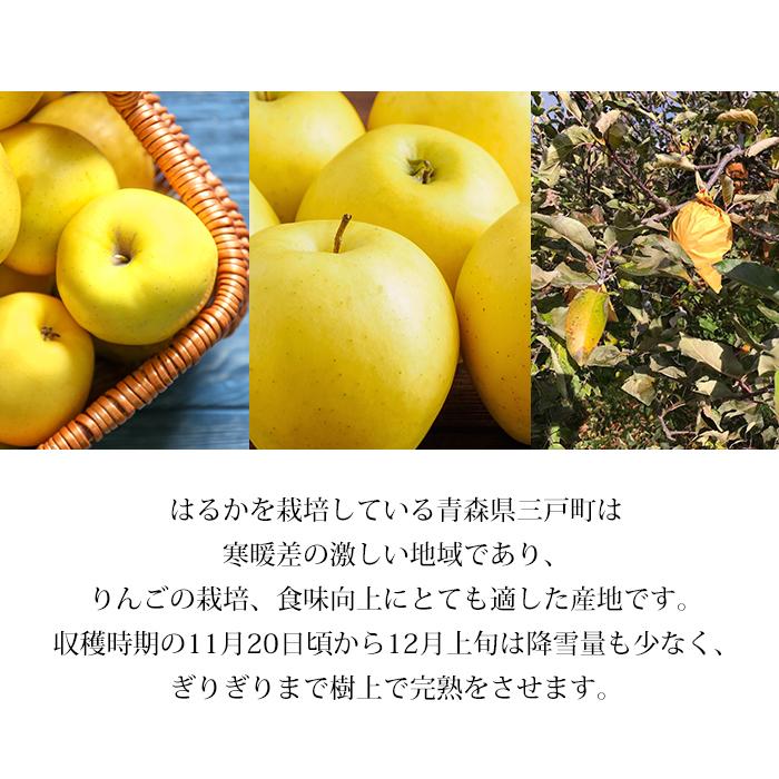 りんご しんおう on X: 