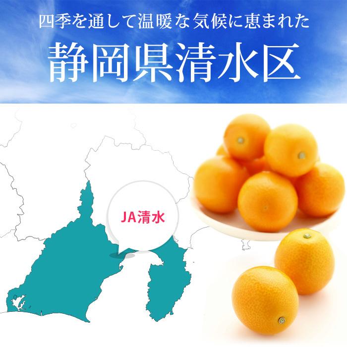 完熟きんかん 静岡県産 コンターレ こん太プレミアム 約1kg 2L 完熟きんかん 静岡県産 コンターレ こん太プレミアム 約1kg 2L