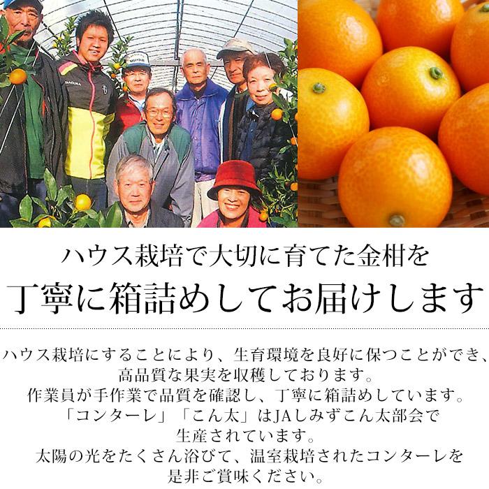 完熟きんかん 静岡県産 コンターレ こん太プレミアム 約1kg 2L 完熟きんかん 静岡県産 コンターレ こん太プレミアム 約1kg 2L