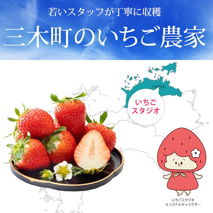 いちご 香川県産 さぬきひめ おてごろパック 約1.2kg 8パック いちご 香川県産 さぬきひめ おてごろパック 約1.2kg 8パック