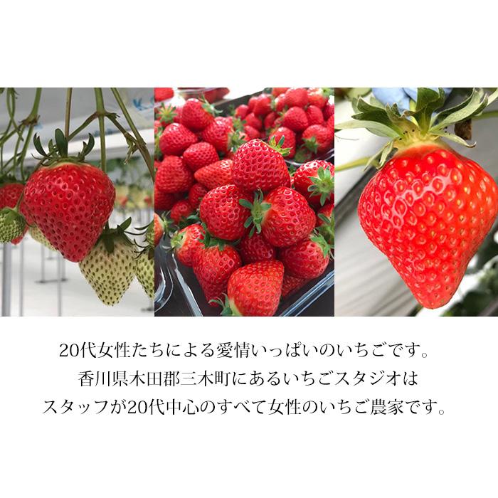 いちご 香川県産 さぬきひめ おてごろパック 約1.2kg 8パック いちご 香川県産 さぬきひめ おてごろパック 約1.2kg 8パック