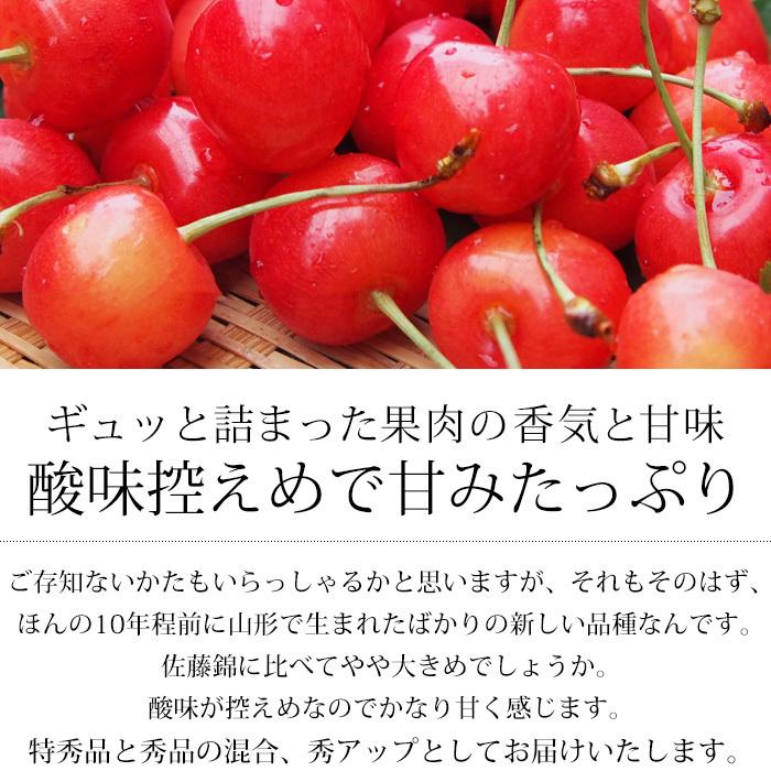 さくらんぼ 山形県産 紅秀峰 丸秀アップ（特秀品・秀品・丸秀） Lサイズアップ 約1kg｜yogmogg｜02