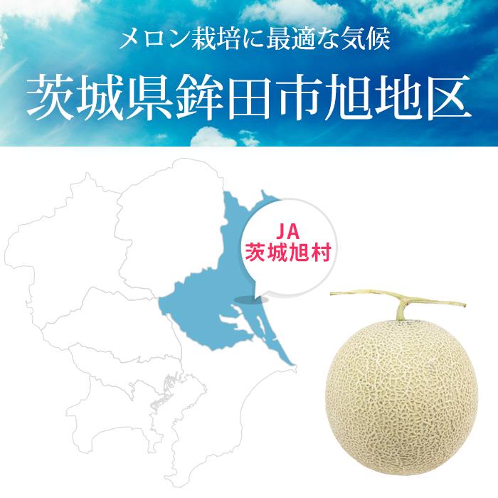 バッグ LEATHER CONVENI BUKURO -BLACK- 2025年収穫予約 夕張メロン 秀品 2玉で約2.6kg 1玉あたり約1.3kg