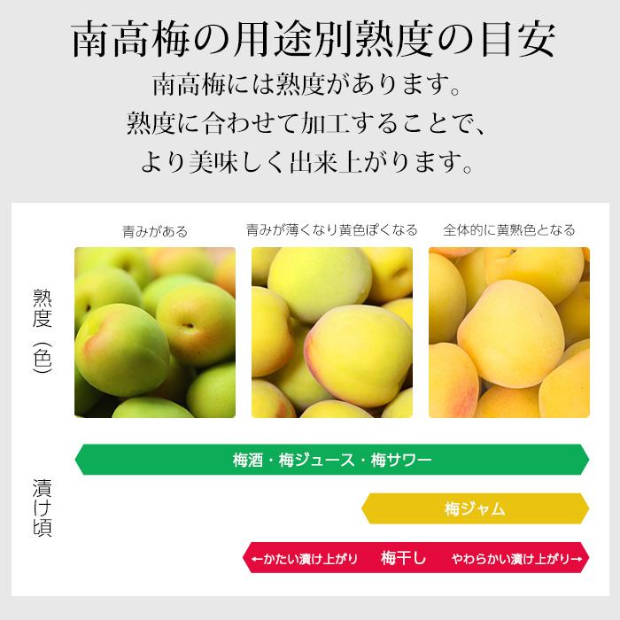 梅 南高梅 和歌山県産 秀品 約10kg : 産直プレミアム - 通販 - Yahoo