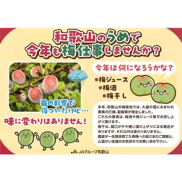 梅 南高梅 和歌山県産 秀品 約10kg : 産直プレミアム - 通販 - Yahoo 