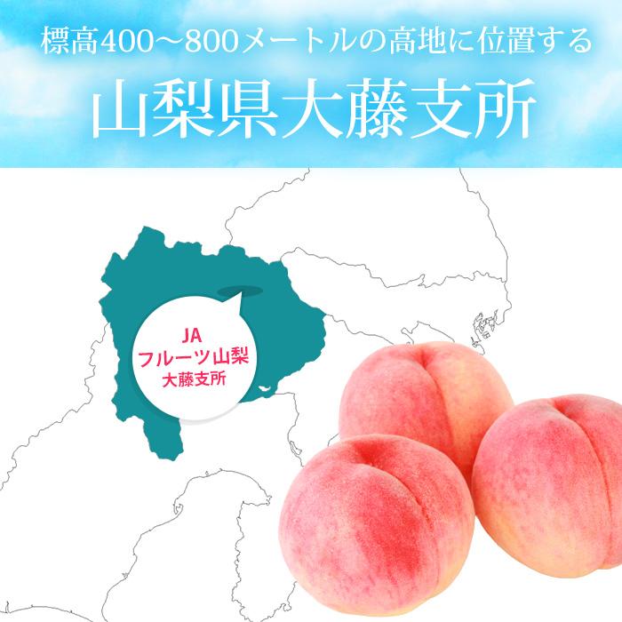 桃 大藤の桃 山梨県産 青秀アップ 約5kg 15〜22玉_2