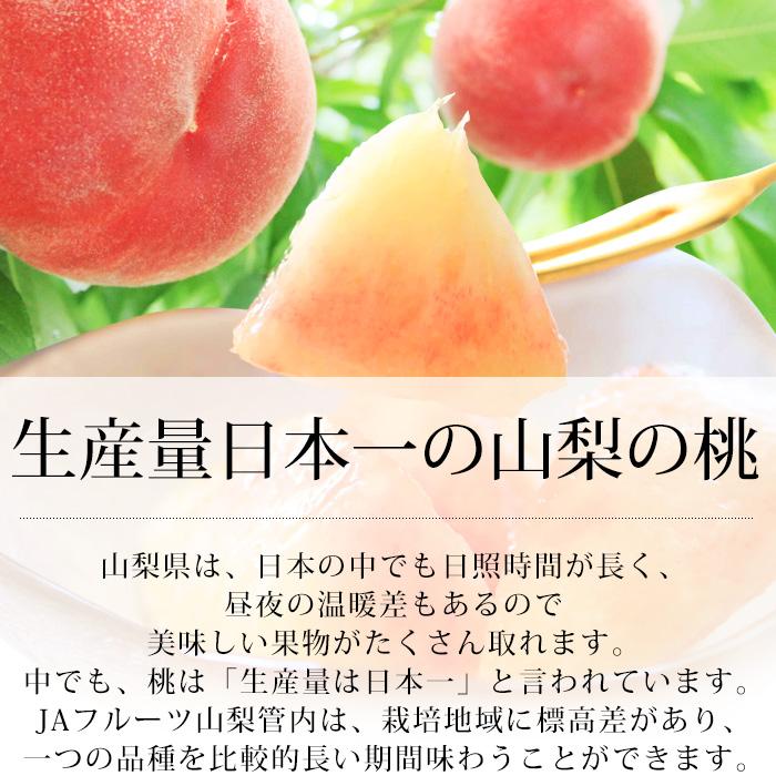 桃 大藤の桃 山梨県産 青秀アップ 約5kg 15〜22玉_4