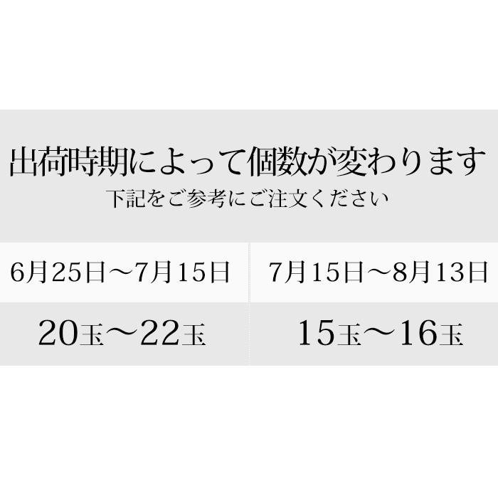 桃 大藤の桃 山梨県産 青秀アップ 約5kg 15〜22玉_5
