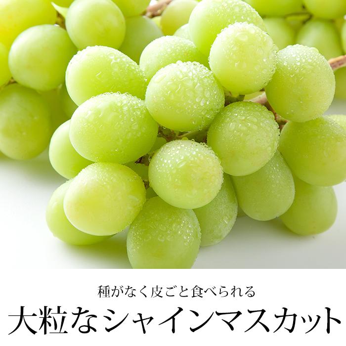 ぶどう シャインマスカット 山梨県産 秀品 約3kg 5〜7房 爆買 : 産直