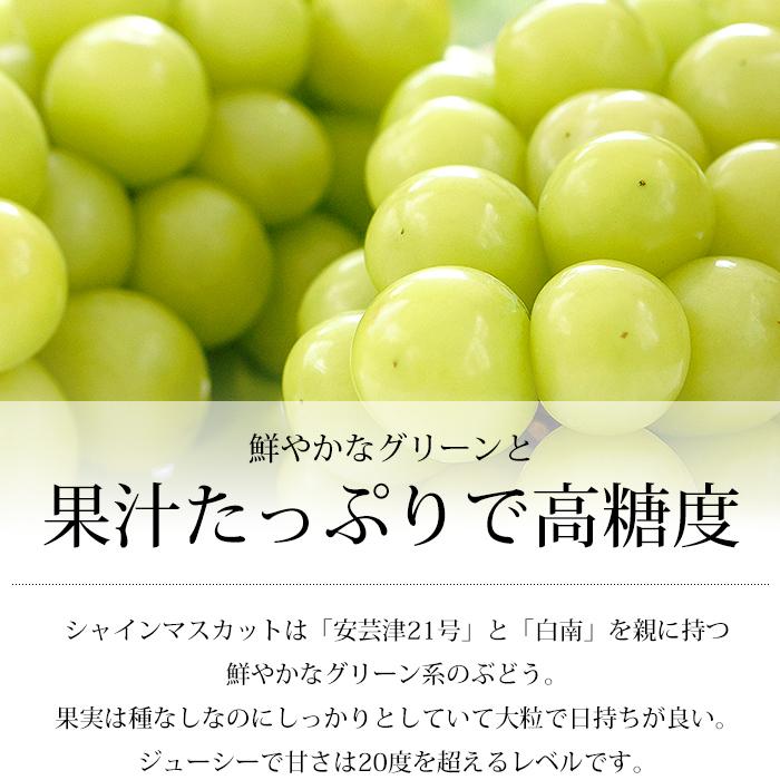 ぶどう シャインマスカット 山梨県産 秀品 約3kg 5〜7房 爆買 : 産直
