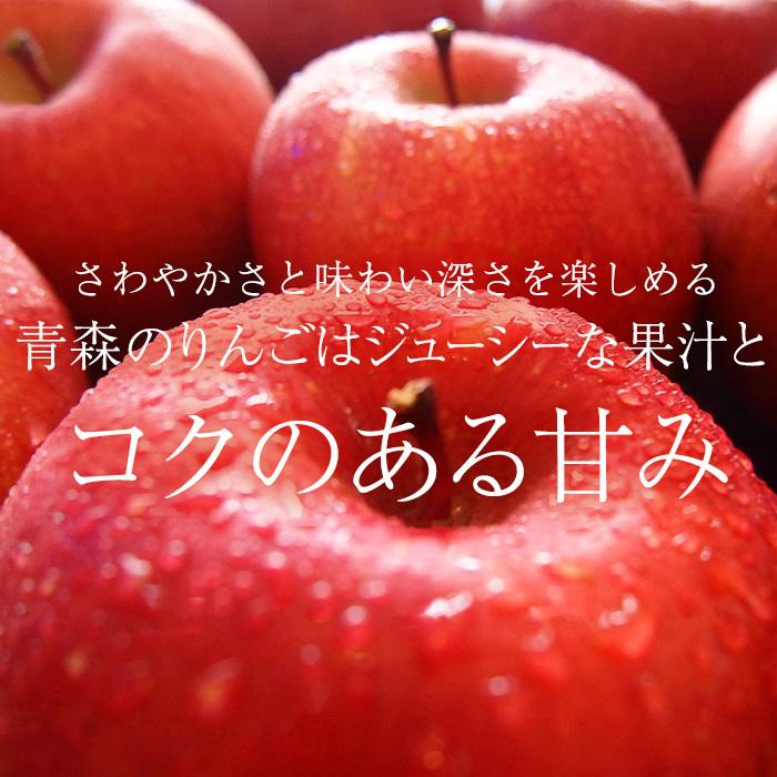 りんご 早生ふじ とき MIX 特A 約3kg 9〜12玉 青森県