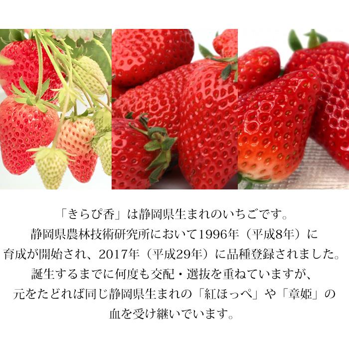 いちご きらぴ香 静岡県産 DX 2パック : 産直プレミアム - 通販