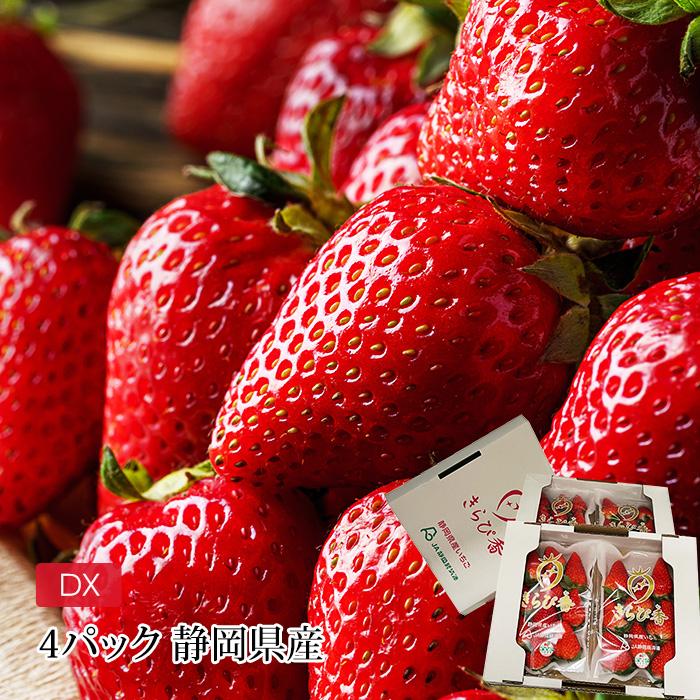 いちご きらぴ香 静岡県産 DX 4パック 爆買 : 産直プレミアム - 通販