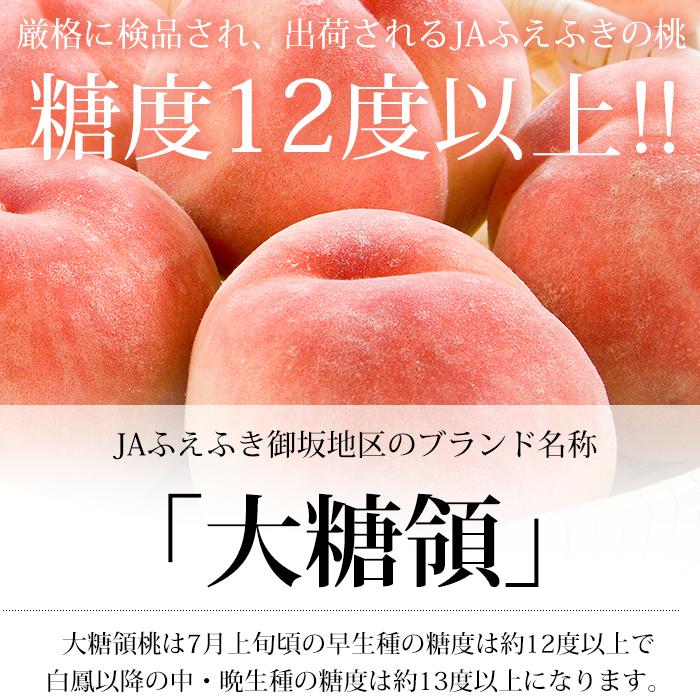 桃 大糖領 山梨県産 約2.5kg 5〜9玉