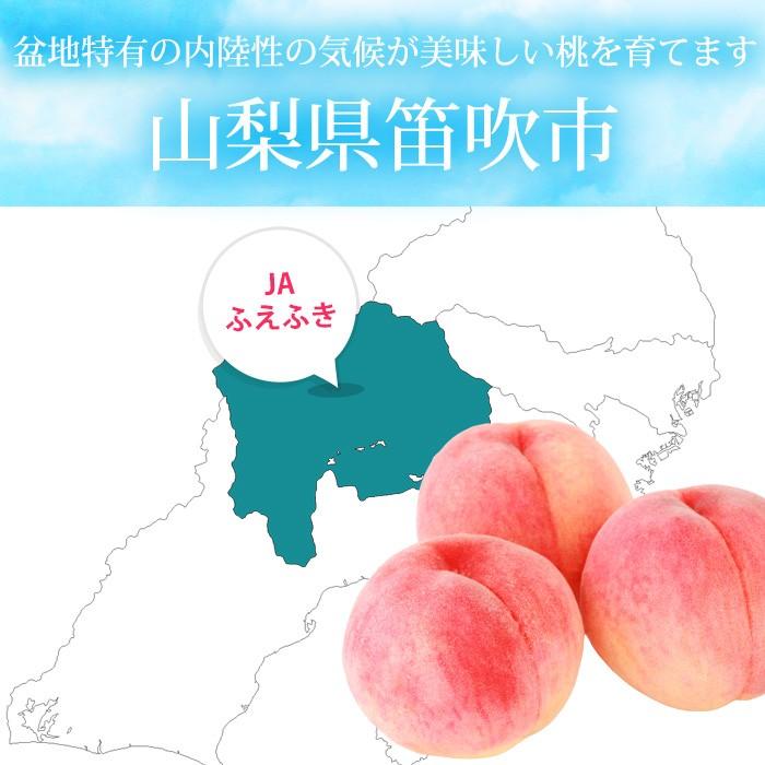 桃 大糖領 山梨県産 約2.5kg 5〜9玉