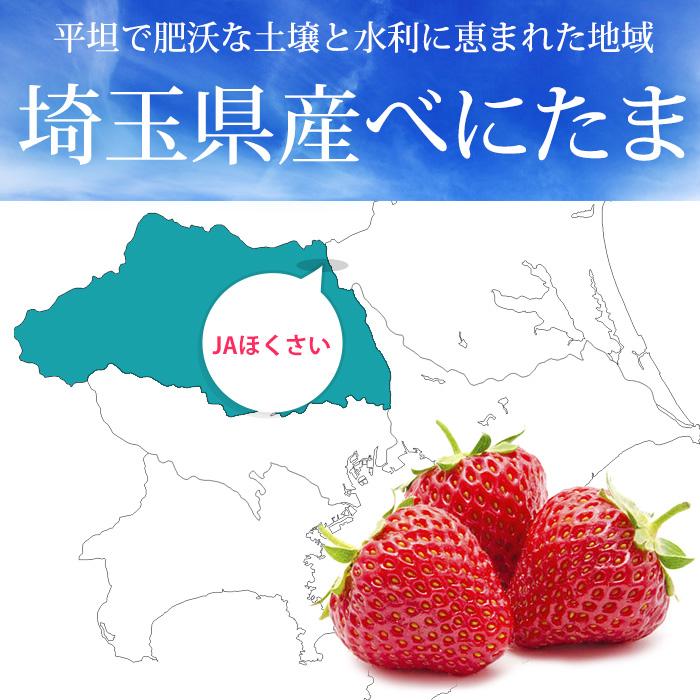 いちご べにたま 埼玉県産 4パック 爆買 : 産直プレミアム - 通販
