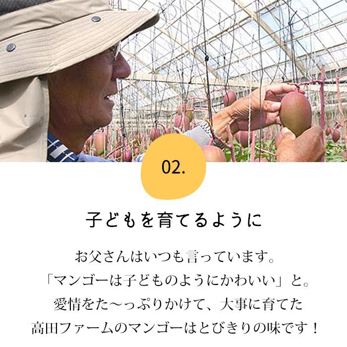 宮古島 大玉マンゴー ２玉 宮古島 大玉マンゴー 2玉 マンゴー 宮古島マンゴー 沖縄県産 秀