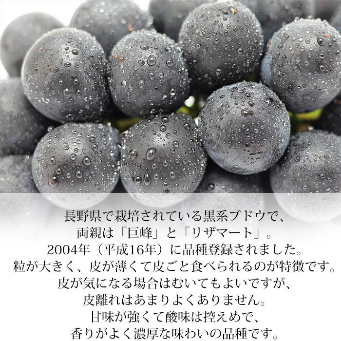 ぶどう シャインマスカット ナガノパープル 約1.2kg(約600g×各1房) 2房セット プレミアムフルーツセレクション 長野県産 :hf-0010:産直プレミアム - 通販 - Yahoo!ショッピング ぶどう シャインマスカット ナガノパープル 約1.2kg(約600g×各1房) 2房セット プレミアムフルーツセレクション 長野県産 :hf-0010:産直プレミアム - 通販 - Yahoo!ショッピング