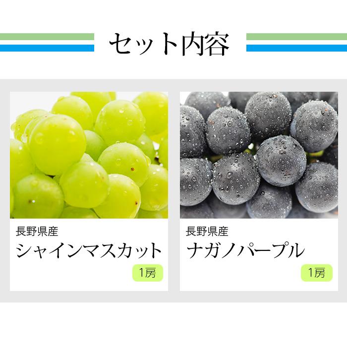 2箱以上ご購入で1,000円OFF ぶどう シャインマスカット ナガノパープル