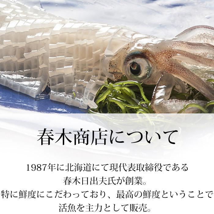 いか 活いか 2尾セット 約300g〜500g（約150g〜250g/1尾） 北海道函館産｜yogmogg｜03