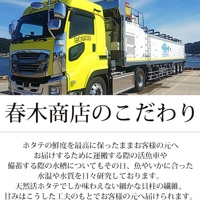 貝類 北海道産 天然活ホタテ 約3kg 約12〜18枚 爆買