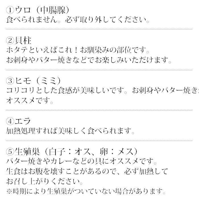 貝類 北海道産 天然活ホタテ 約3kg 約12〜18枚 爆買