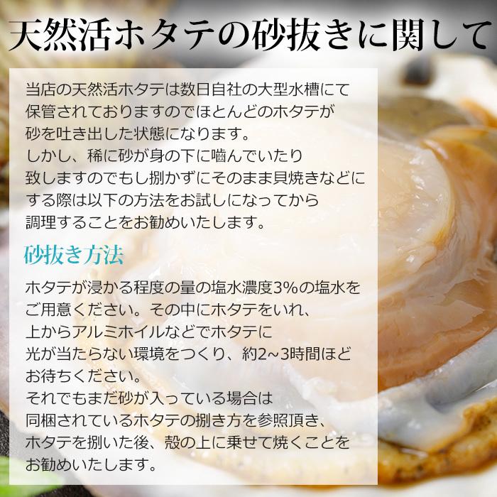 貝類 北海道産 天然活ホタテ 約3kg 約12〜18枚 爆買