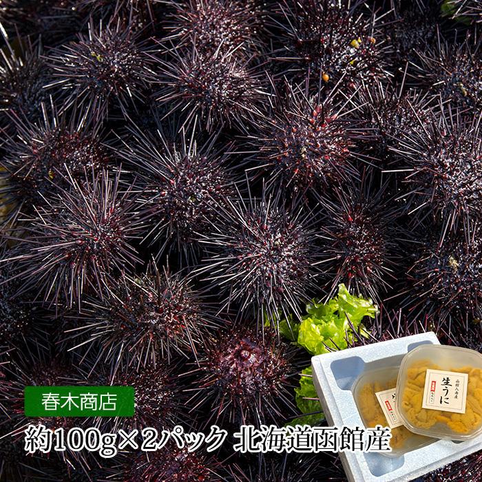 うに 塩水キタムラサキウニ 約100g 2パック 北海道函館産 Hs 0016 産直プレミアム 通販 Yahoo ショッピング