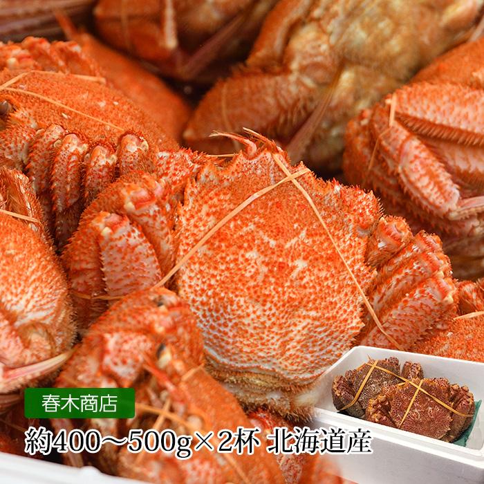 かに 活毛ガニ 2杯セット 約800g 1kg 約400g 500g 1杯 北海道産 Hs 0019 産直プレミアム 通販 Yahoo ショッピング