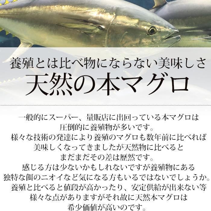 マグロ 天然本マグロ 中トロ 2柵セット（約120g〜150g/1柵） 2〜3人前｜yogmogg｜05