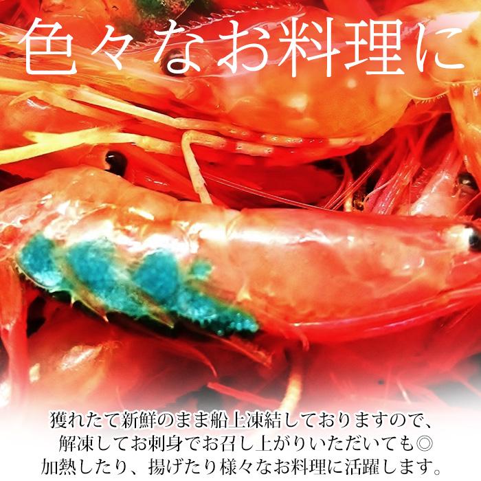エビ 船上凍結天然甘えび 合計約1kg 2L〜3Lサイズ 46〜57尾 爆買