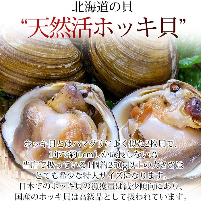 貝類 天然活ホッキ貝 約5kg 約15 個 北海道産 Hs 0030 産直プレミアム 通販 Yahoo ショッピング